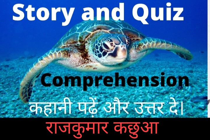 Read more about the article Comprehension and Quiz
