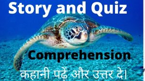 Comprehension and Quiz